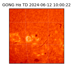 gong - 2024-06-12T10:00:22