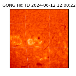 gong - 2024-06-12T12:00:22