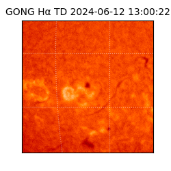 gong - 2024-06-12T13:00:22