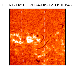 gong - 2024-06-12T16:00:42