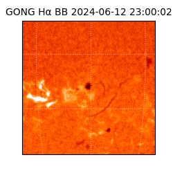 gong - 2024-06-12T23:00:02