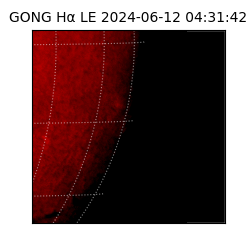 gong - 2024-06-12T04:31:42