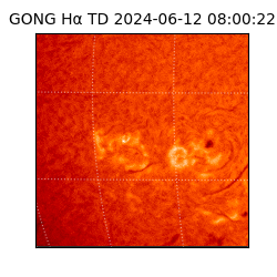 gong - 2024-06-12T08:00:22