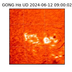 gong - 2024-06-12T09:00:02