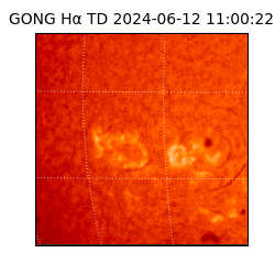 gong - 2024-06-12T11:00:22