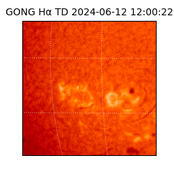 gong - 2024-06-12T12:00:22