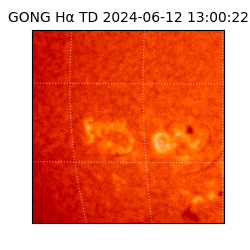 gong - 2024-06-12T13:00:22