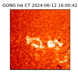 gong - 2024-06-12T16:00:42