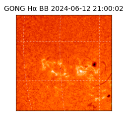 gong - 2024-06-12T21:00:02
