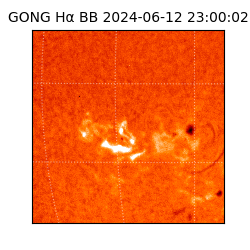 gong - 2024-06-12T23:00:02