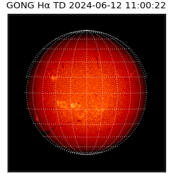 gong - 2024-06-12T11:00:22