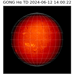 gong - 2024-06-12T14:00:22