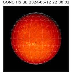 gong - 2024-06-12T22:00:02