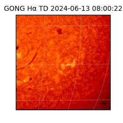 gong - 2024-06-13T08:00:22