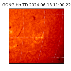 gong - 2024-06-13T11:00:22