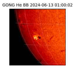 gong - 2024-06-13T01:00:02