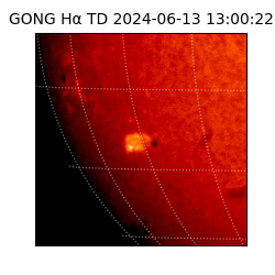 gong - 2024-06-13T13:00:22