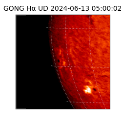 gong - 2024-06-13T05:00:02