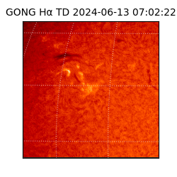 gong - 2024-06-13T07:02:22