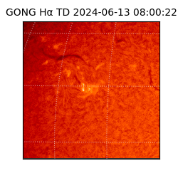 gong - 2024-06-13T08:00:22