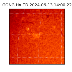 gong - 2024-06-13T14:00:22