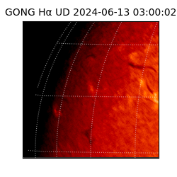 gong - 2024-06-13T03:00:02
