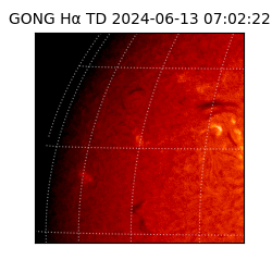 gong - 2024-06-13T07:02:22