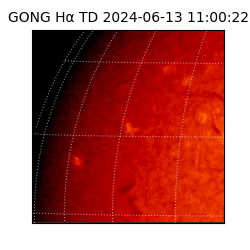 gong - 2024-06-13T11:00:22