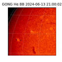 gong - 2024-06-13T21:00:02