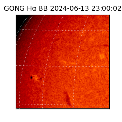 gong - 2024-06-13T23:00:02