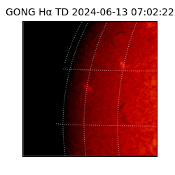 gong - 2024-06-13T07:02:22