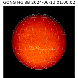 gong - 2024-06-13T01:00:02