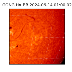 gong - 2024-06-14T01:00:02