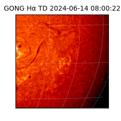 gong - 2024-06-14T08:00:22