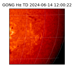gong - 2024-06-14T12:00:22