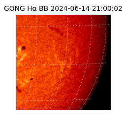 gong - 2024-06-14T21:00:02