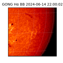 gong - 2024-06-14T22:00:02