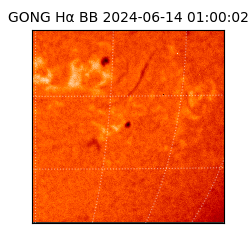 gong - 2024-06-14T01:00:02