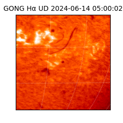 gong - 2024-06-14T05:00:02