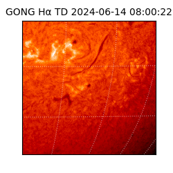 gong - 2024-06-14T08:00:22