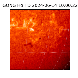 gong - 2024-06-14T10:00:22