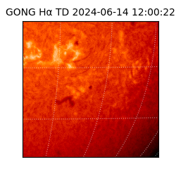 gong - 2024-06-14T12:00:22