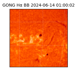 gong - 2024-06-14T01:00:02