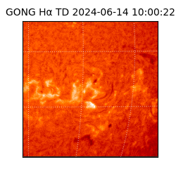 gong - 2024-06-14T10:00:22