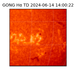 gong - 2024-06-14T14:00:22