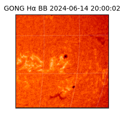 gong - 2024-06-14T20:00:02