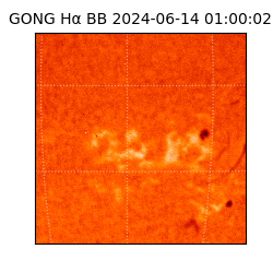 gong - 2024-06-14T01:00:02