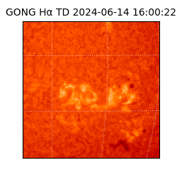 gong - 2024-06-14T16:00:22