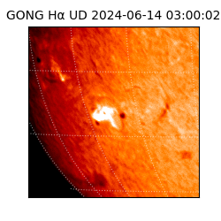 gong - 2024-06-14T03:00:02