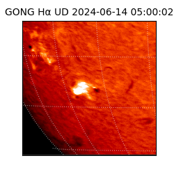 gong - 2024-06-14T05:00:02